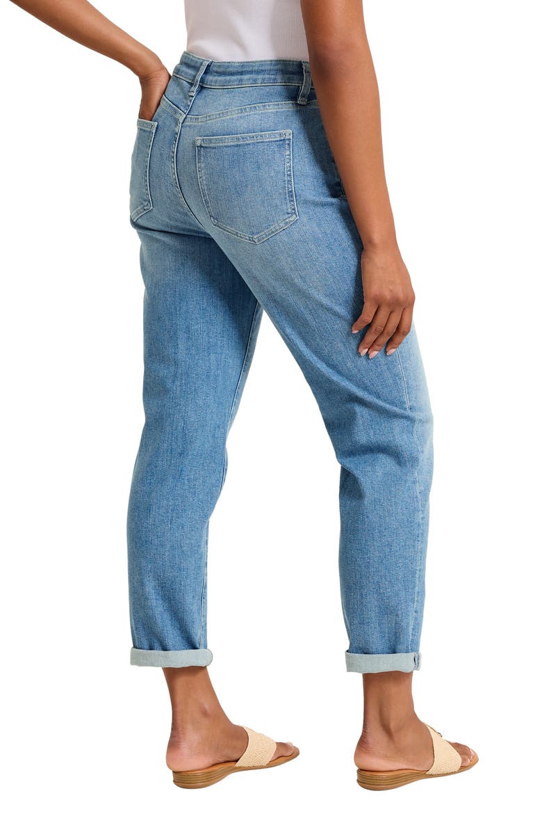 Slim Crop Boyfriend Jeans, Alternate, color, SOFT SURF WASH