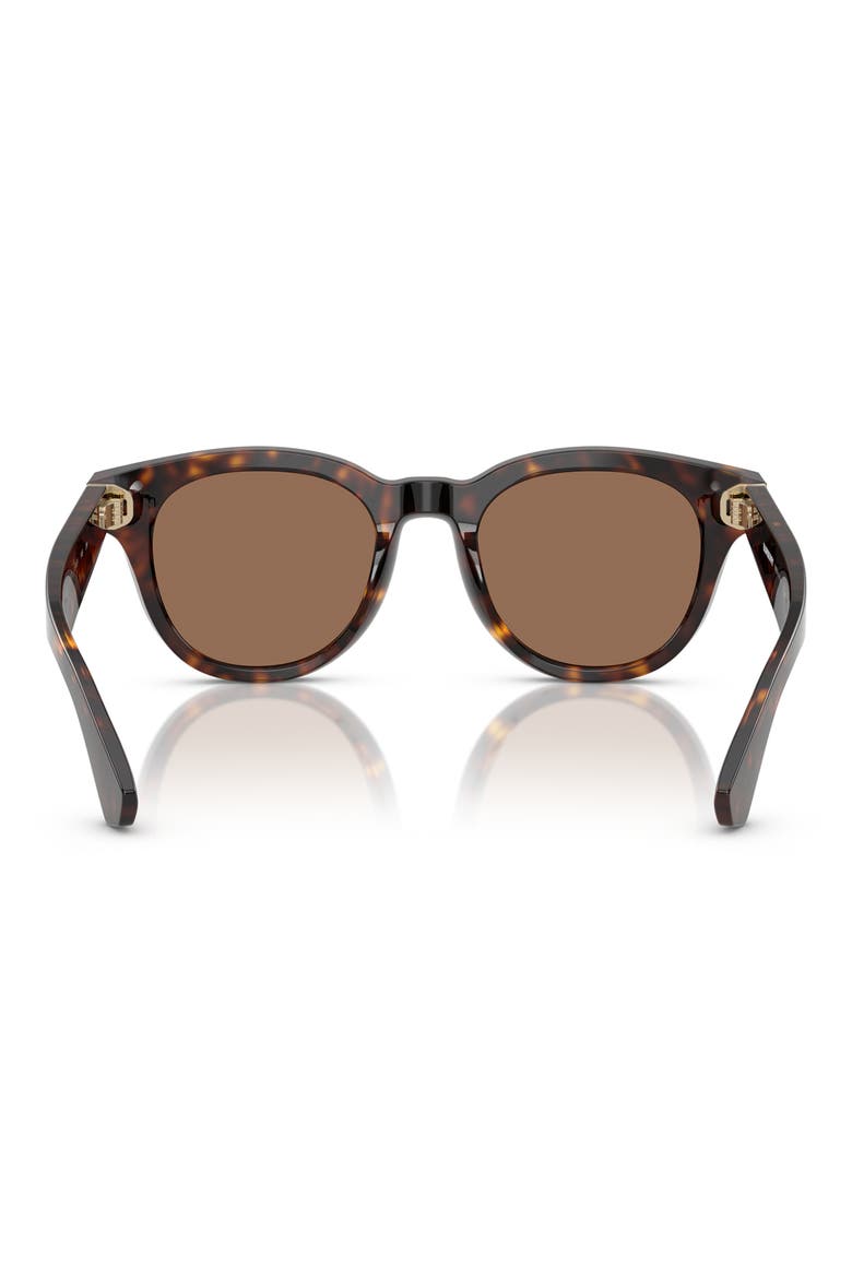 51mm Round Sunglasses, Alternate, color, DARK HAVANA