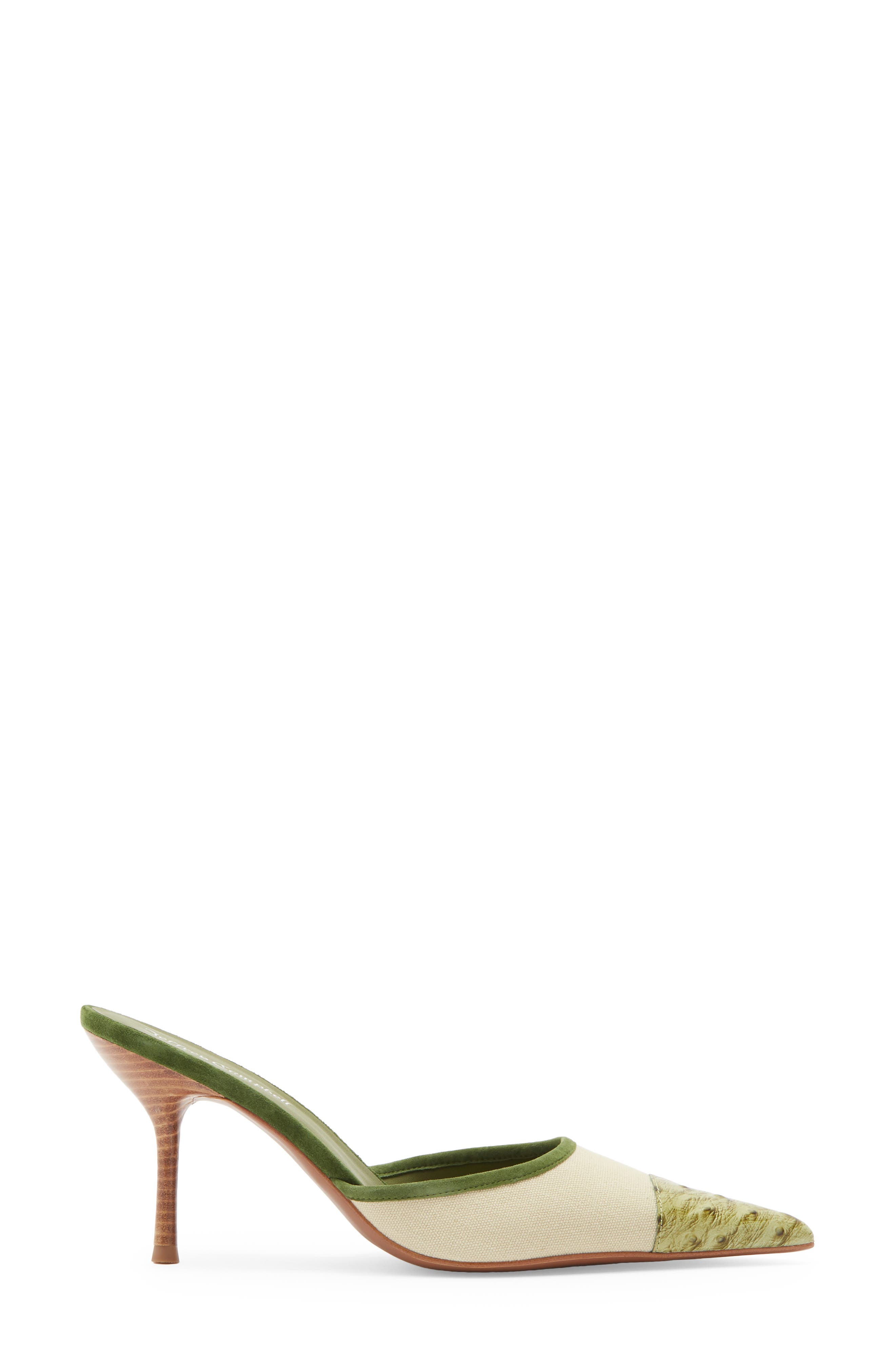 Parse Pointed Cap Toe Mule, Alternate, color, BEIGE CANVAS GREEN OSTRICH