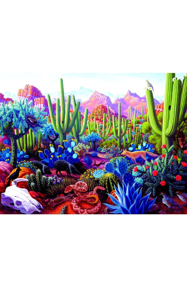 Sunsout Cactusland 1000 piece Jigsaw Puzzle for Adults, Alternate, color, Multicolor