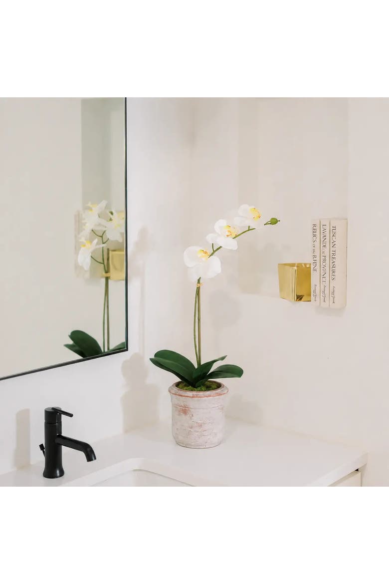 22" Artificial White Phalaenopsis Orchids, Set of 2, Alternate, color, White
