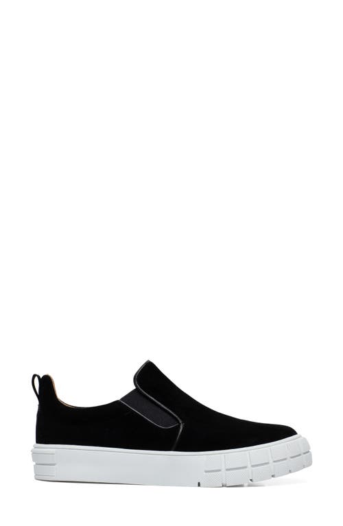 Linea Paolo Kenly Slip-on Sneaker In Black