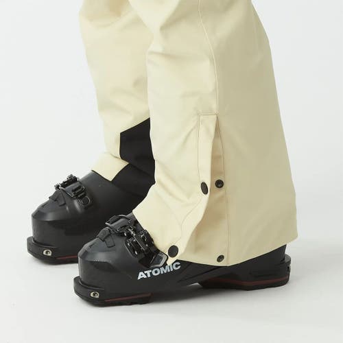 Picture Organic Exa Pant In Neutral