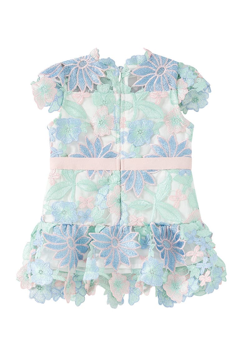 Addison Embroidered Mini Dress, Alternate, color, Multi