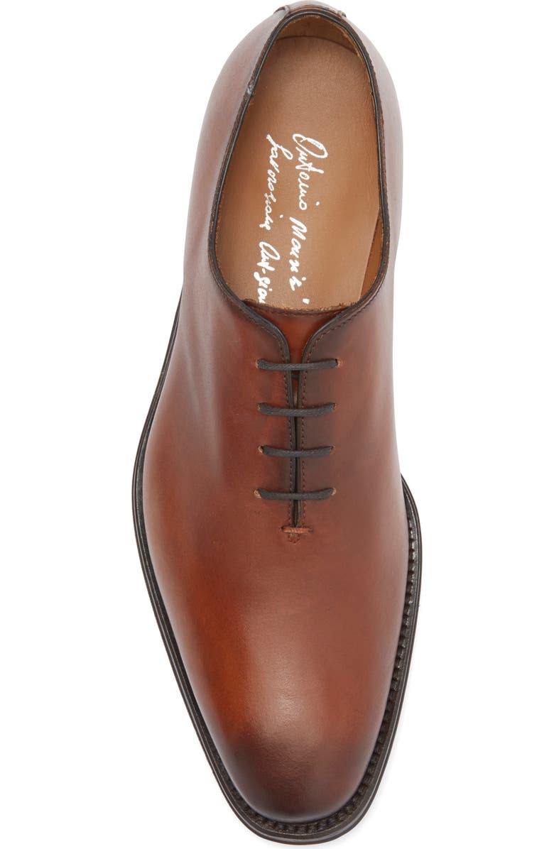 ANTONIO MAURIZI Wholecut Oxford, Alternate, color,
