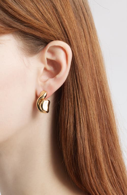 Jenny Bird Estelle Drop Earrings In High Polish Gold