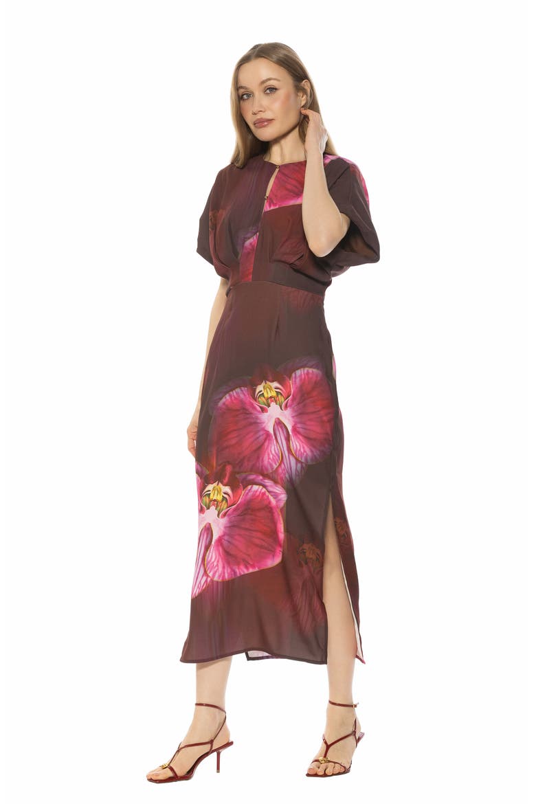 Sylvi Draped Sleeve Midi Dress, Alternate, color, BOLD FLORAL