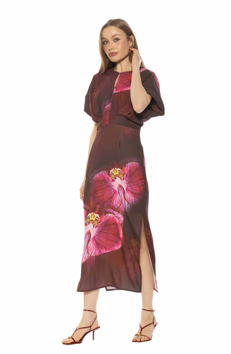 Alexia Admor Sylvi Draped Sleeve Midi Dress, Alternate, color, Bold Floral