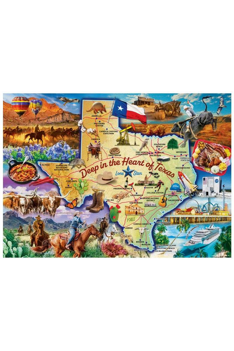 Texas Lone Star State 1000 Piece Puzzle, Alternate, color, Multicolor