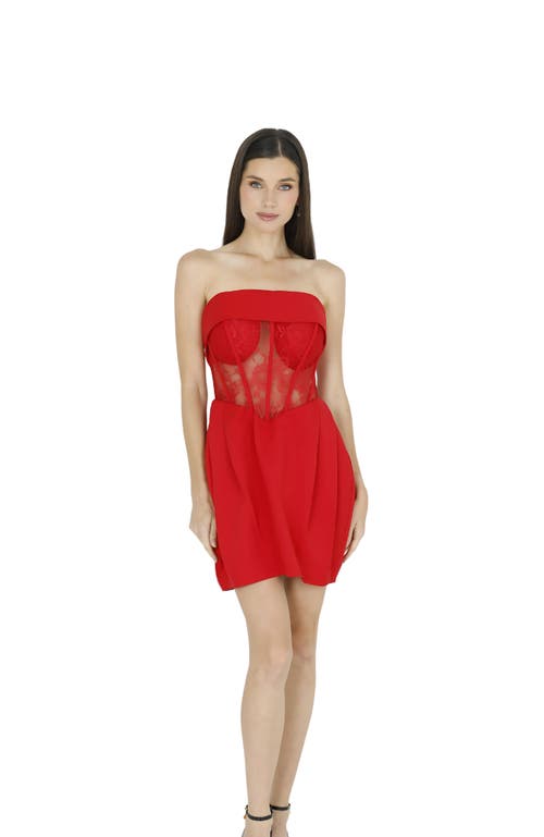 AKALIA AKALIA DAISY STRAPLESS LACE CORSET DRESS