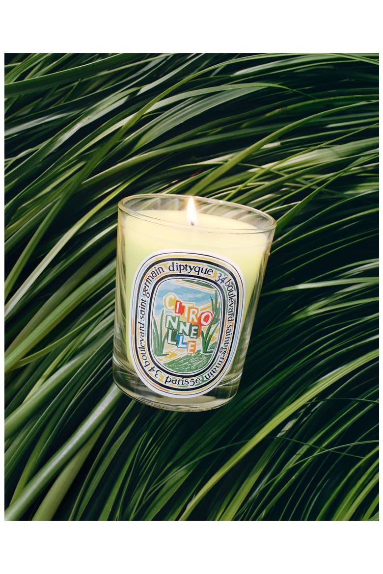 Citronnelle Lemongrass & Orange Blossom Scented Candle, Alternate, color, 6.5oz SIZE