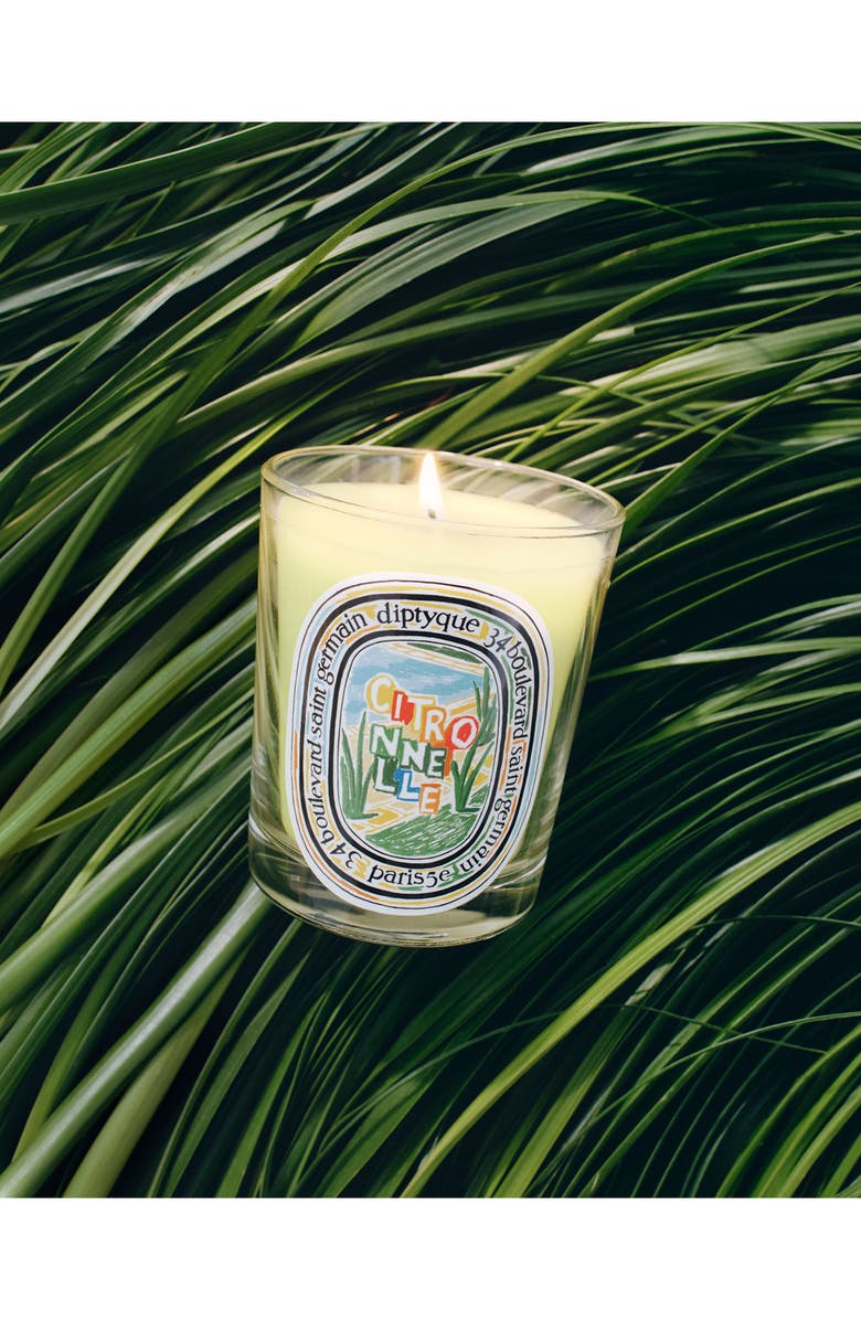 Diptyque Citronnelle Lemongrass & Orange Blossom Scented Candle, Alternate, color,