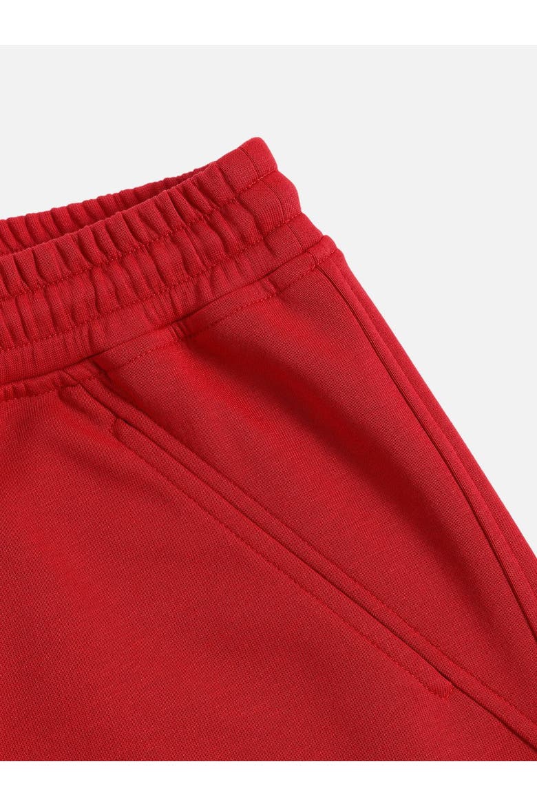 Inkjet Print Super Baggy Sweatpants, Alternate, color, Red