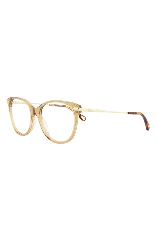 Chloé Core 53mm Cat Eye Optical Glasses In Brown Gold Transparent