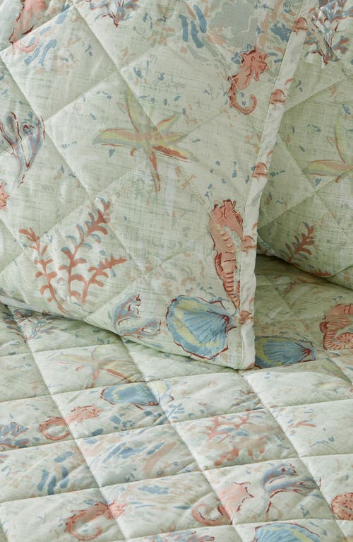 Patina Vie Maison Coastal Print Quilt Set In Blue Shells