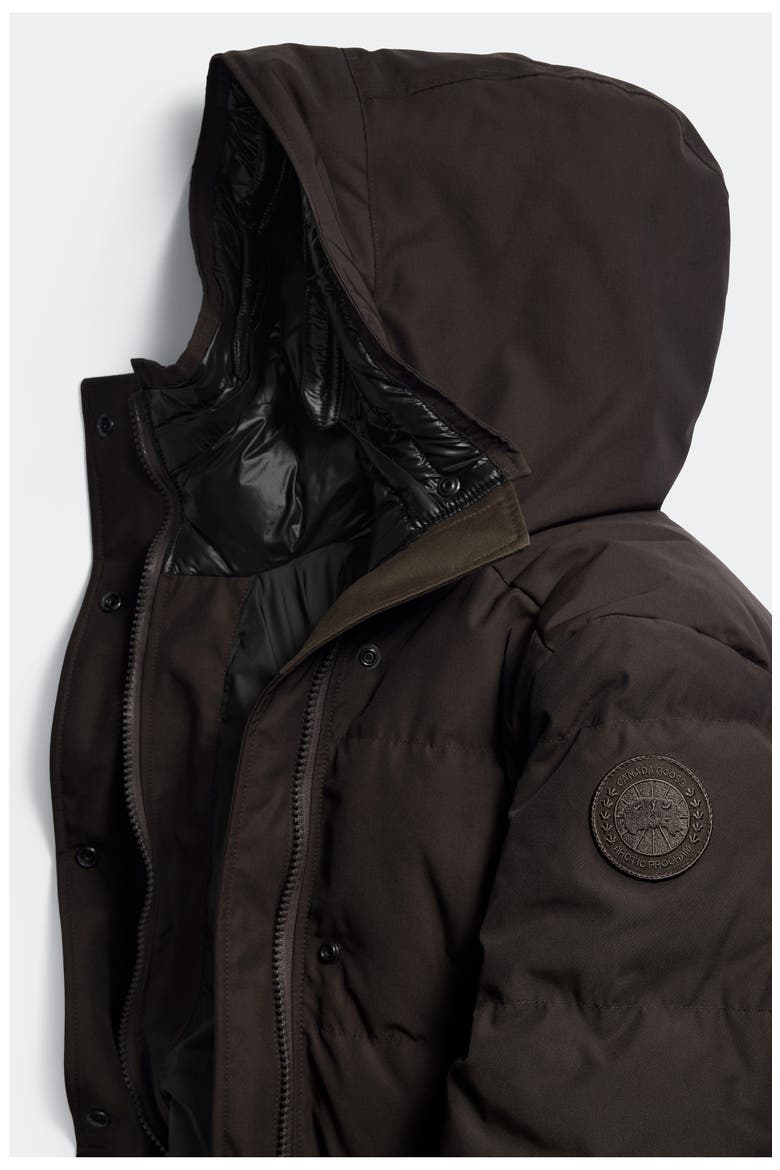 Louise Hooded Parka, Alternate, color, ARABICA-ARABICA
