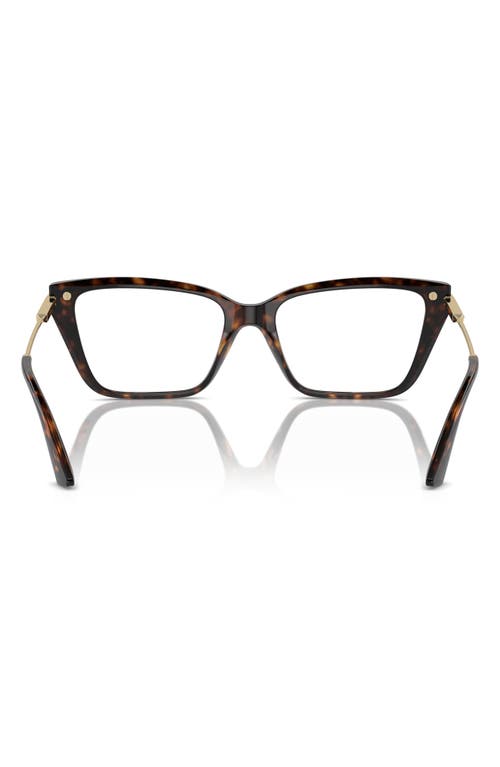 Jimmy Choo 55mm Cat Eye Optical Glasses In Brown