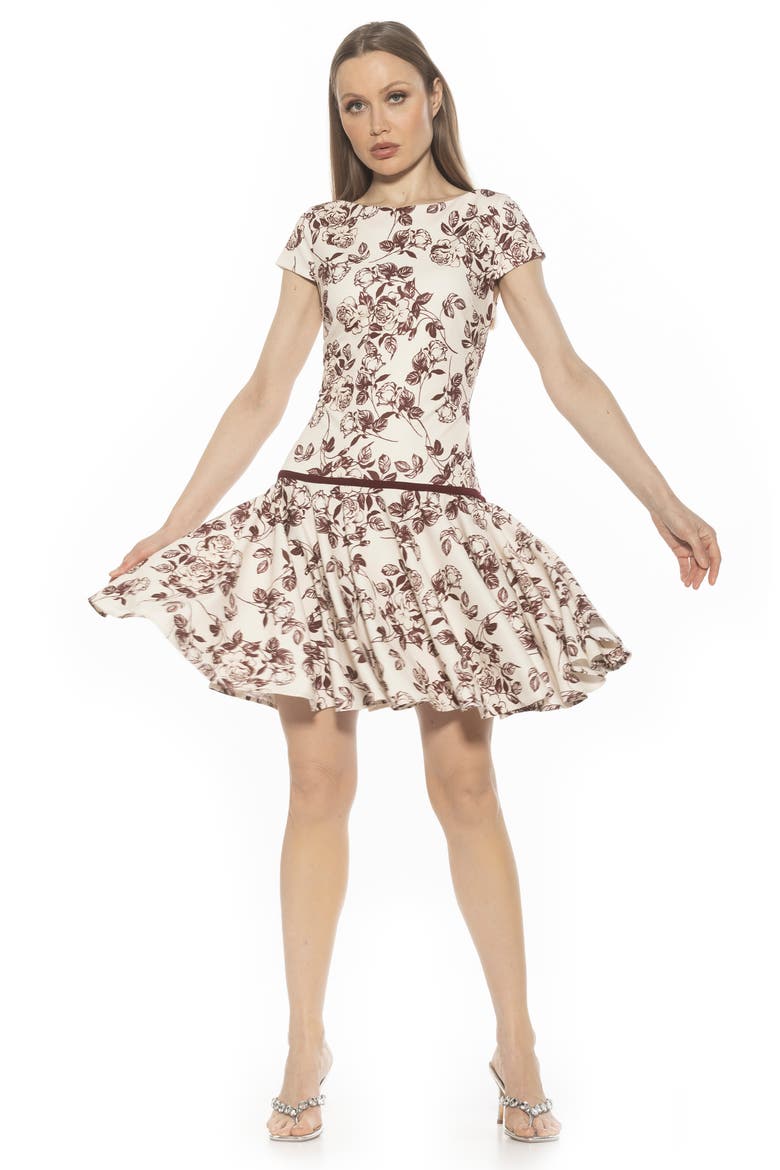 Drop Waist Dress, Alternate, color, BURGUNDY FLORAL