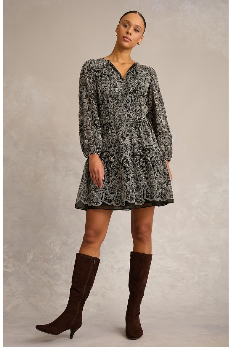 Embroidered Long Sleeve Dress, Alternate, color, BLACK/ IVORY