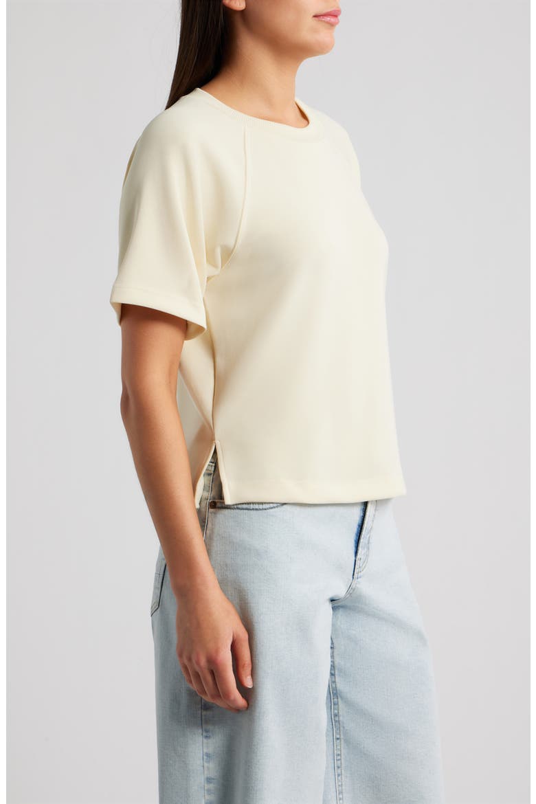 Raglan Sleeve T-Shirt, Alternate, color, PEARL