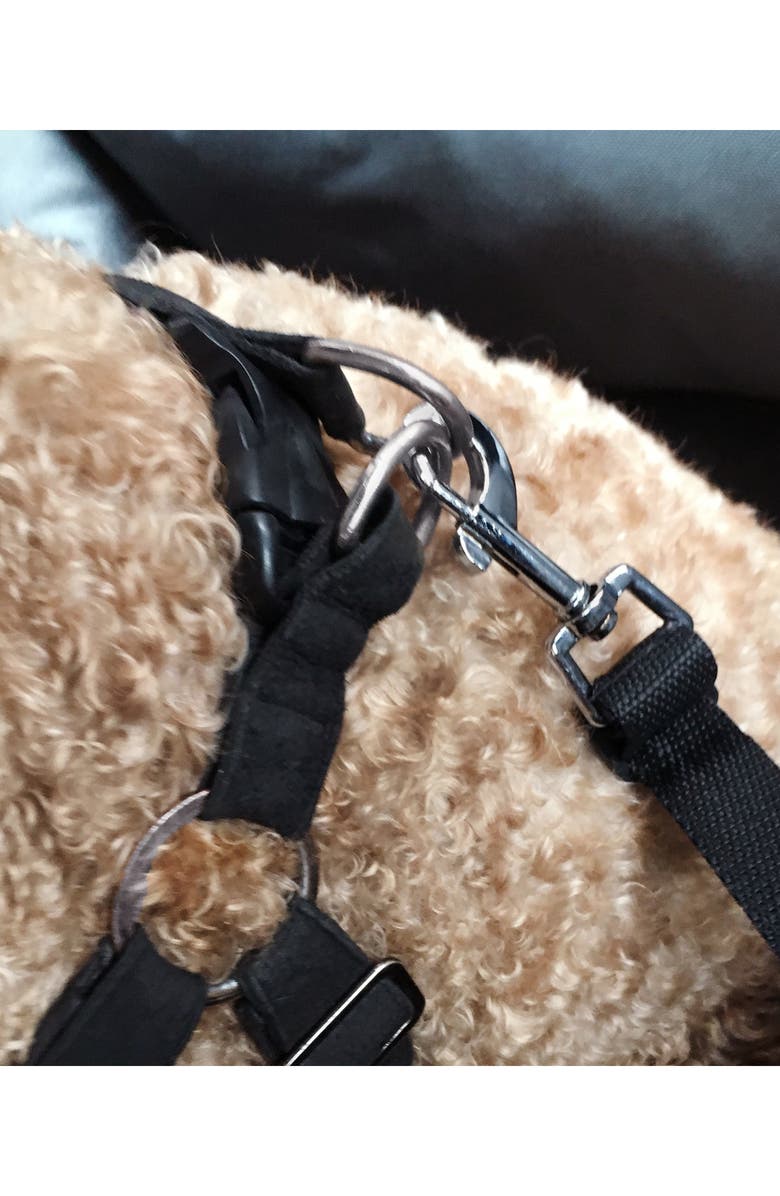 Precious Tails Seat Belt Compartment Seat, Alternate, color,