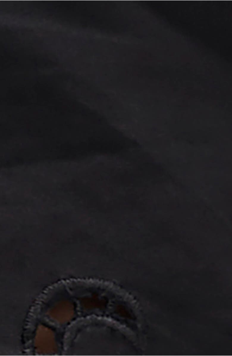 Free People Sweet Sammi Eyelet Embroidery Crop Top, Alternate, color,