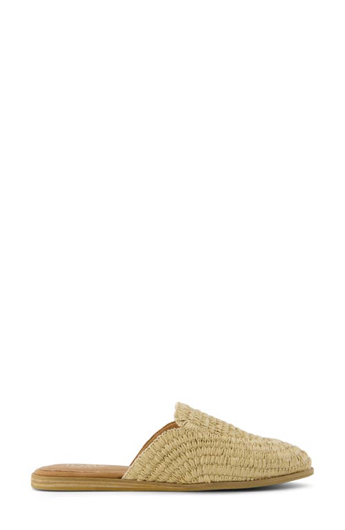 Toms Jade Mule In Beige