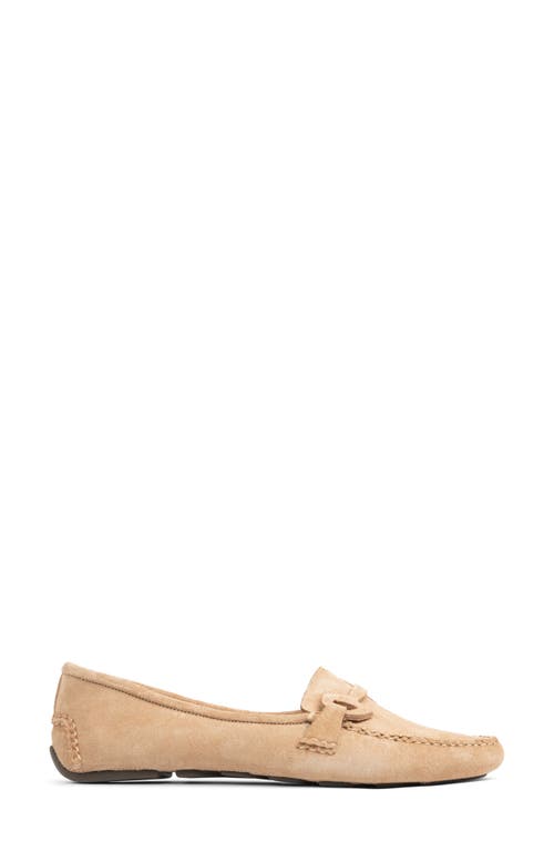Shop Patricia Green Jane Bit Loafer In Tan Suede