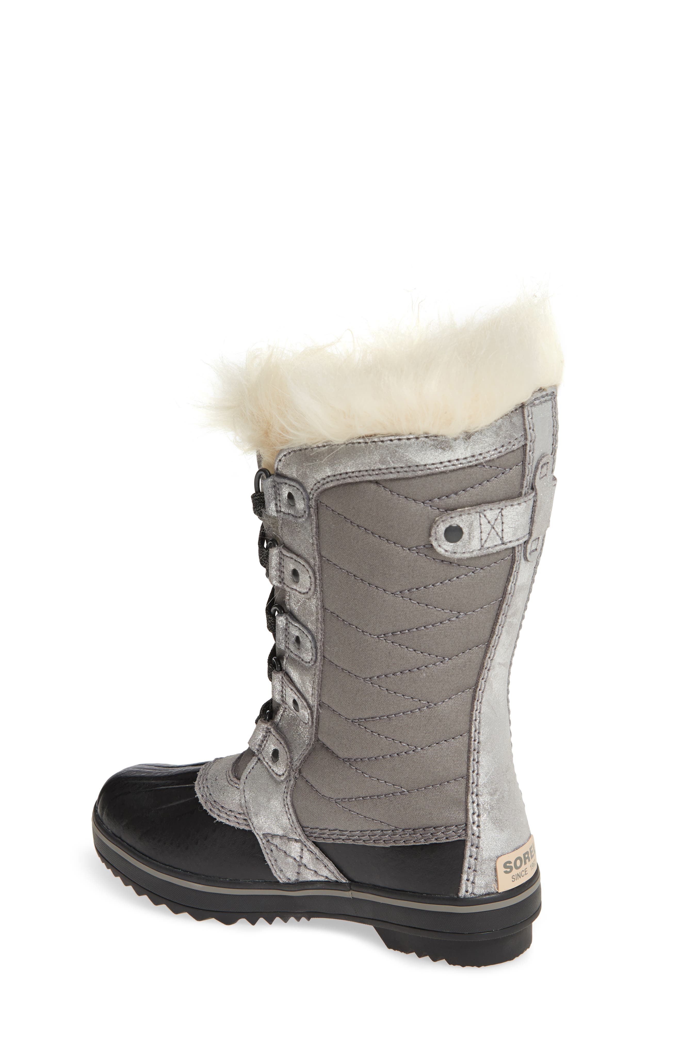 Tofino II Faux Fur Lined Waterproof Boot, Alternate, color, QUARRY
