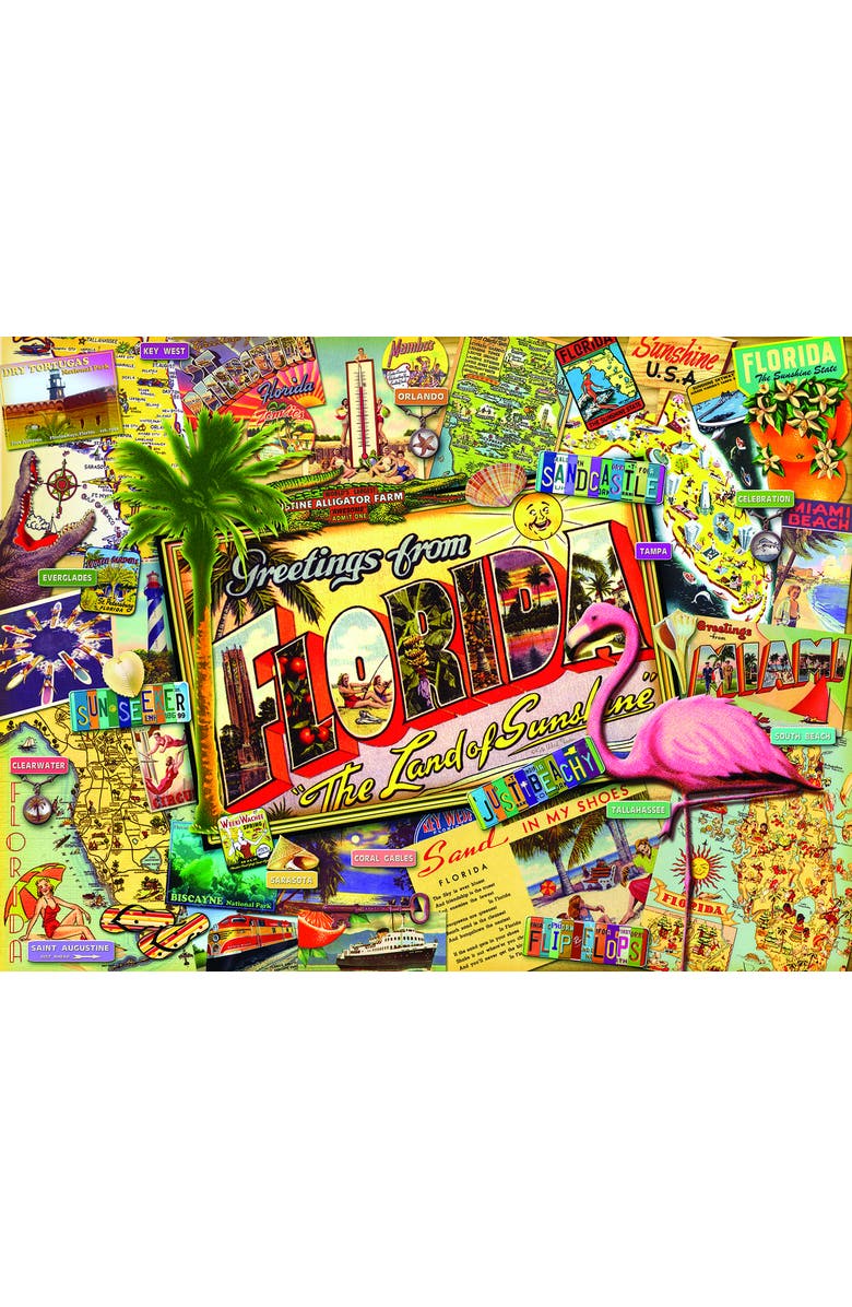 Sunsout Florida 1000 piece Jigsaw Puzzle for Adults, Alternate, color, Multicolor