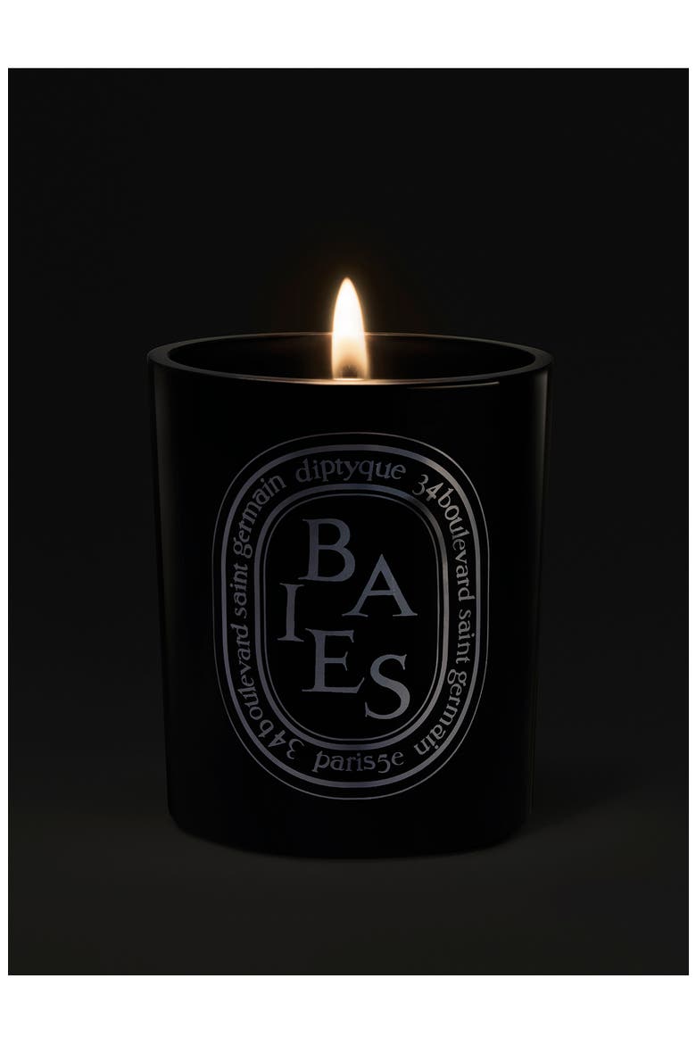 Baies (Berries) Large Scented Candle, Alternate, color, BLACK VESSEL