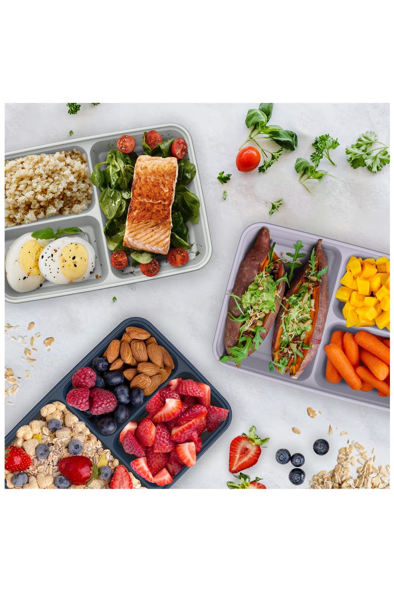 Prep 3-Compartment Meal Prep Containers - Set of 10, Alternate, color, LILAC