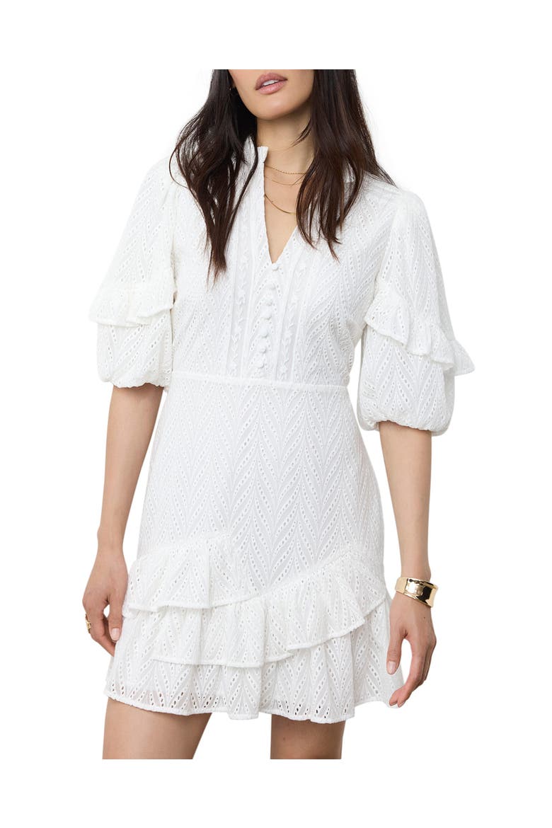 Embroidered Detail Mini Dress, Main, color, Ivory