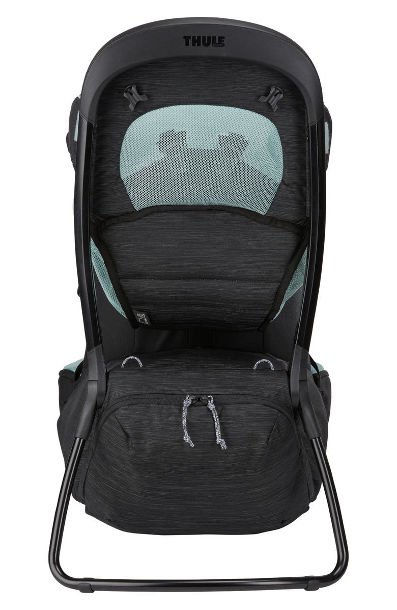 Thule Sapling Child Carrier, Alternate, color, Black