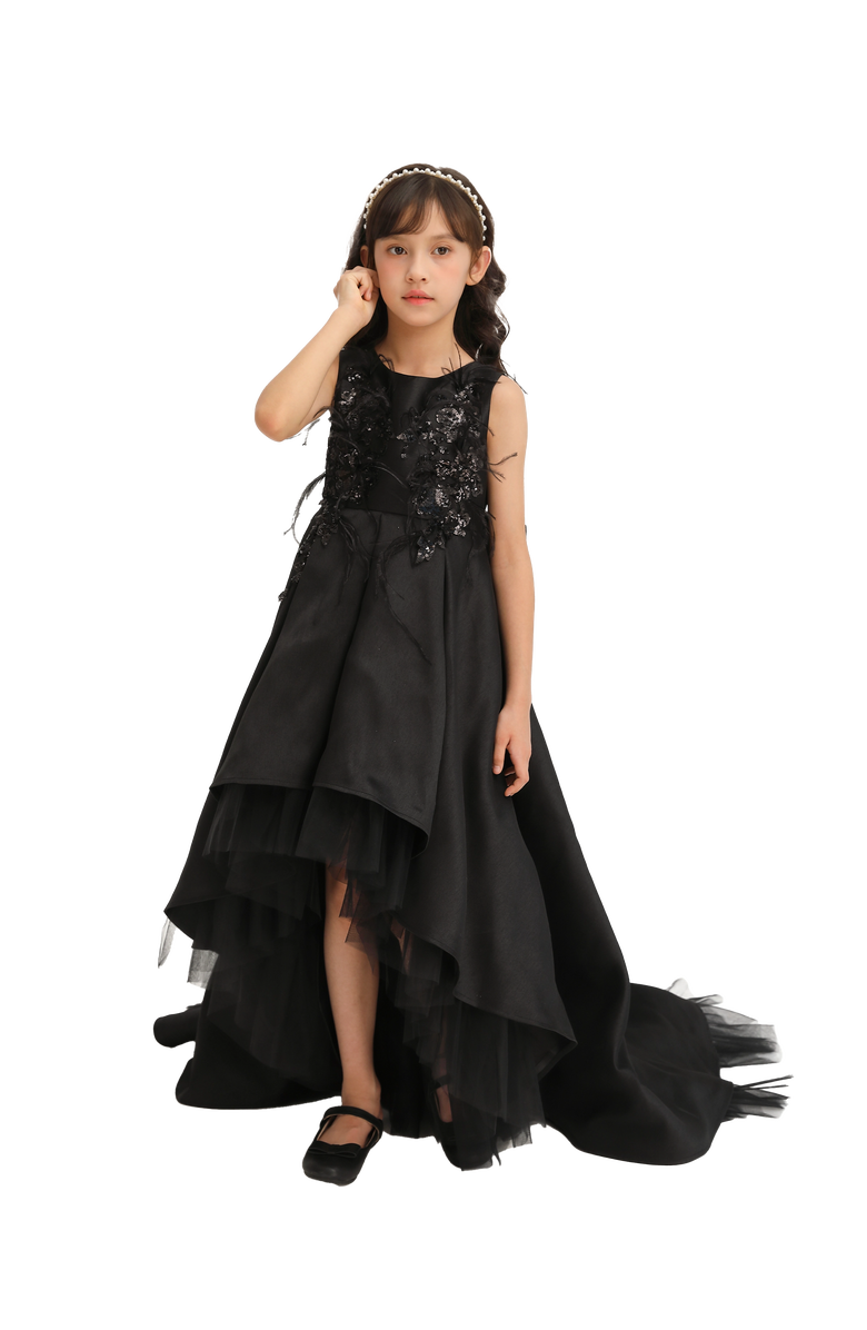 Tulleen Salem Dress, Alternate, color, Black