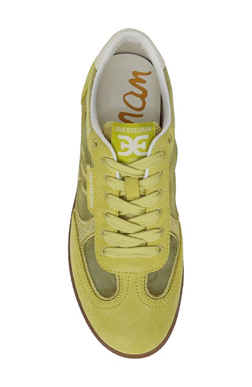 Shop Sam Edelman Kyla Sneaker In Celery Yellow