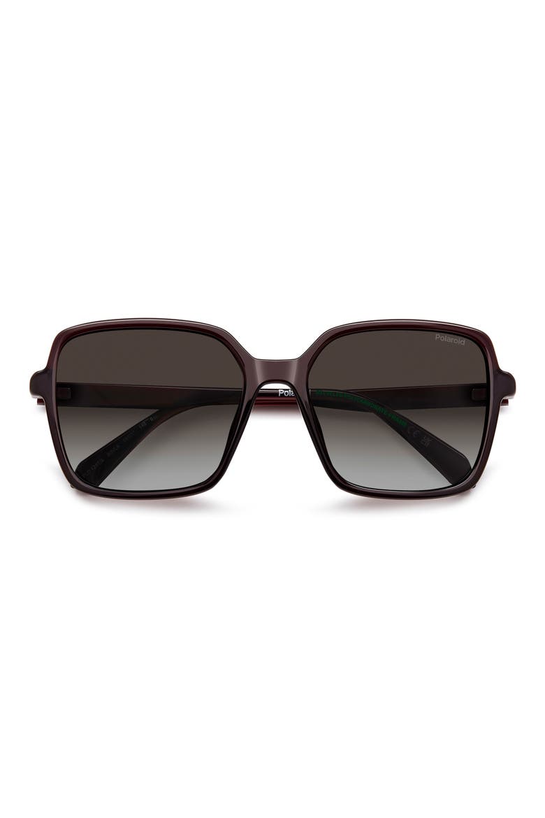 56mm Polarized Square Sunglasses, Alternate, color, VIOLET/ BROWN SF PZ
