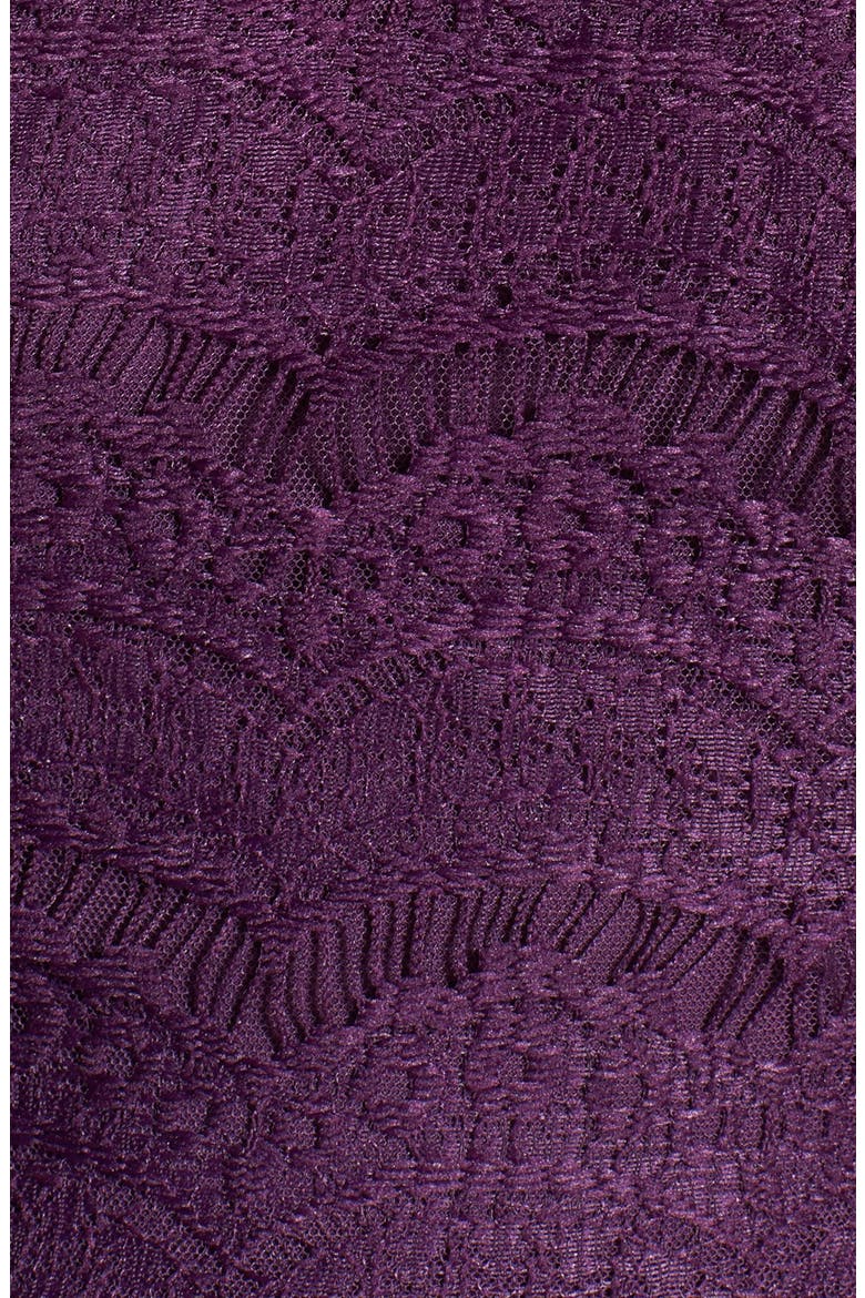 Eyelash Lace Skater Dress, Alternate, color, EGGPLANT