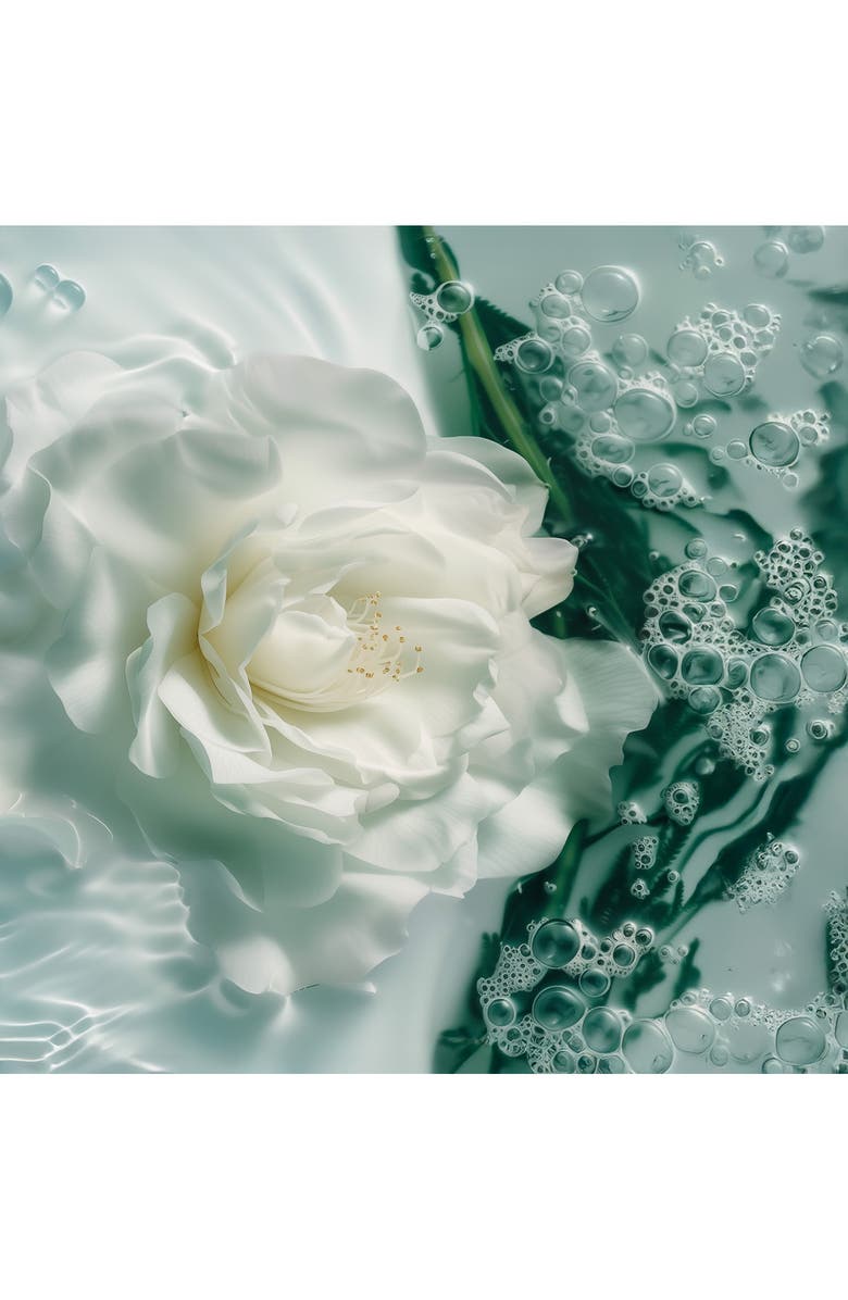 Leonor Greyl PARIS Algues et Fleurs Curl Enhancing Styling Spray, Alternate, color, 