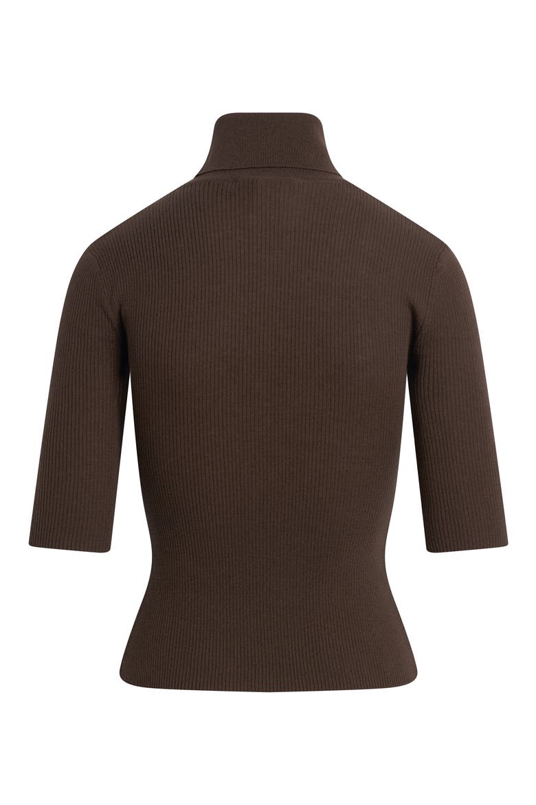 The Amelia Merino Wool Turtleneck Top, Alternate, color, COFFEE