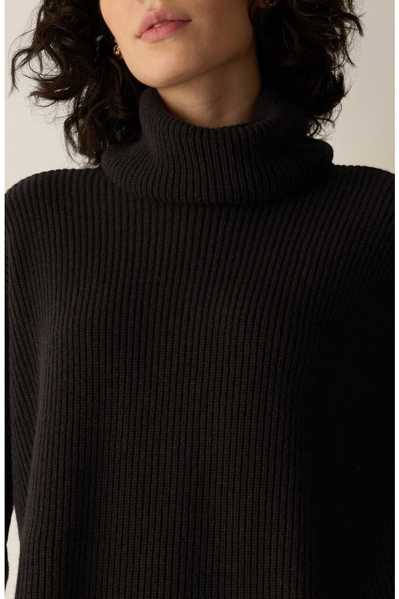 Rib Turtleneck Sweater, Alternate, color, COFFEE