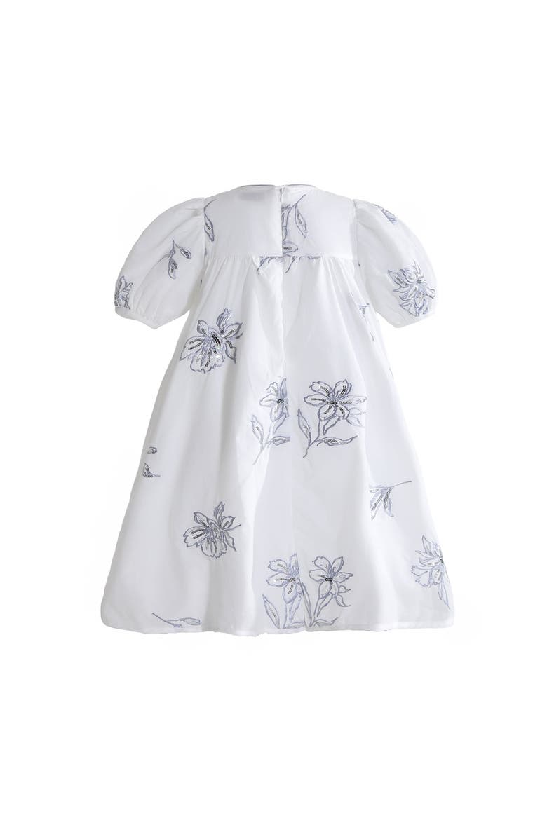 Whisper Embroidered Puff-Sleeve Dress, Alternate, color, White
