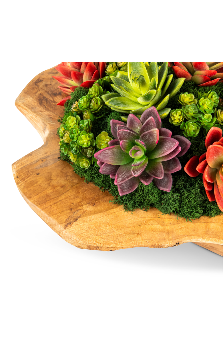 CocoBella Mojave Wooden Bowl Succulent Arrangement, Alternate, color, Multi-Color