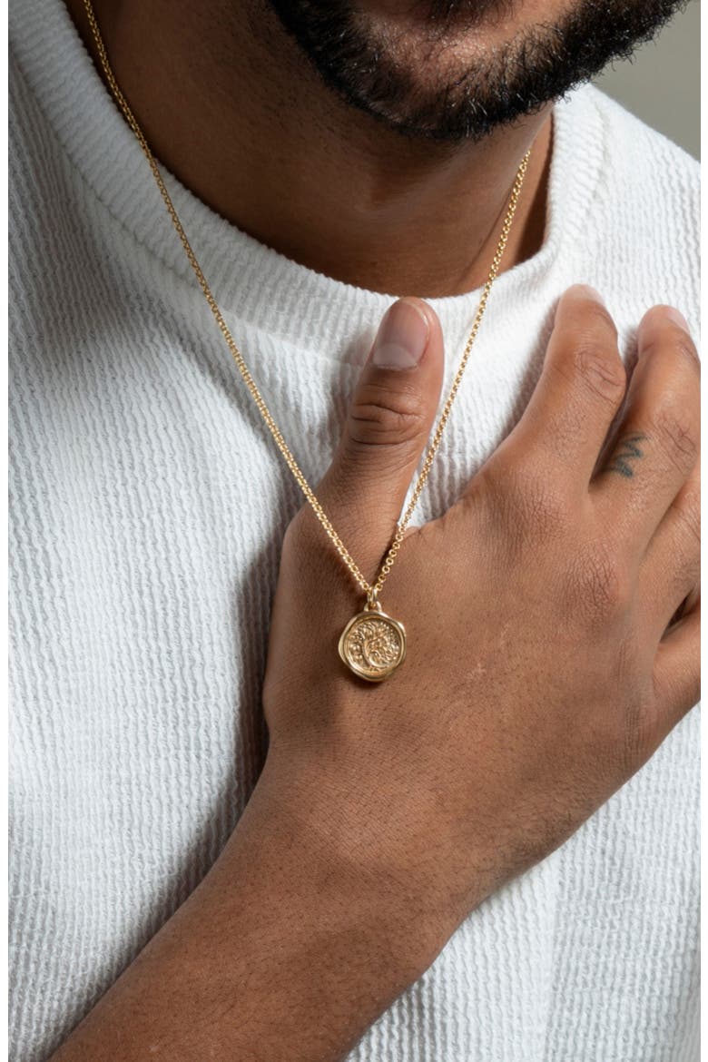 Men's Tree of Life Talisman Necklace, Alternate, color, Yellow Gold Vermeil