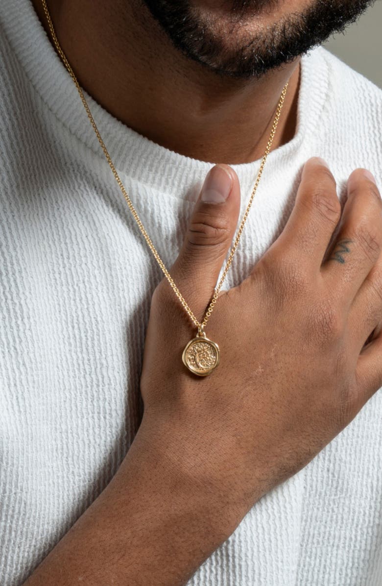 Dower
Hall Men
s Tree of Life Talisman Necklace, Alternate, color, Yellow Gold Vermeil