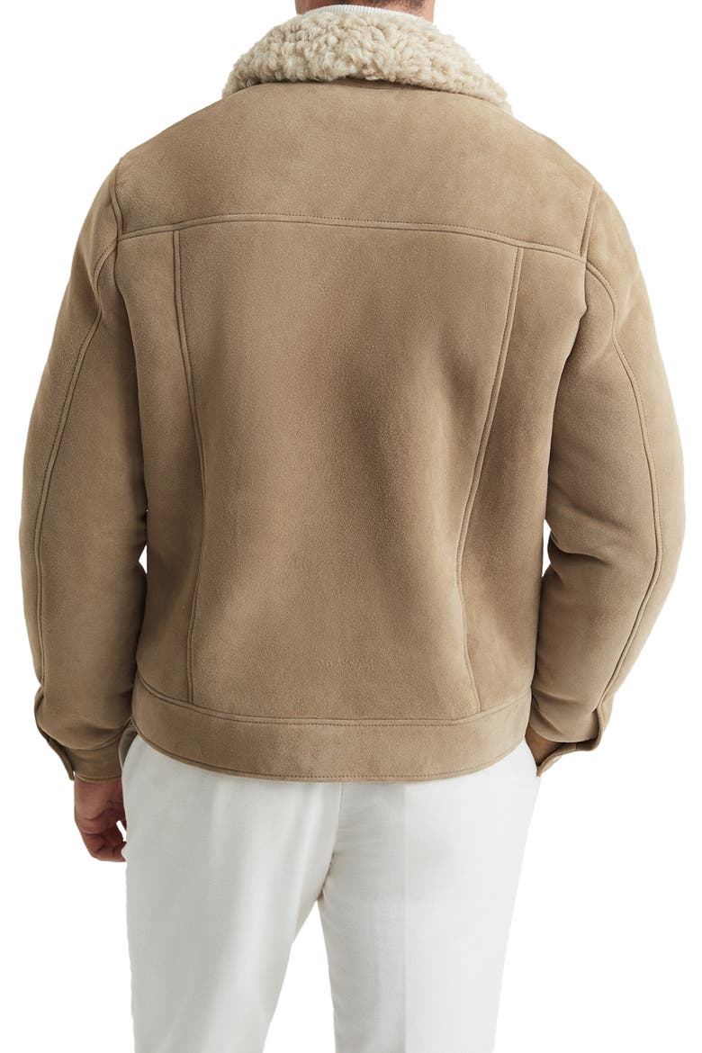 Roseberry Genuine Shearling & Suede Jacket, Alternate, color, STONE