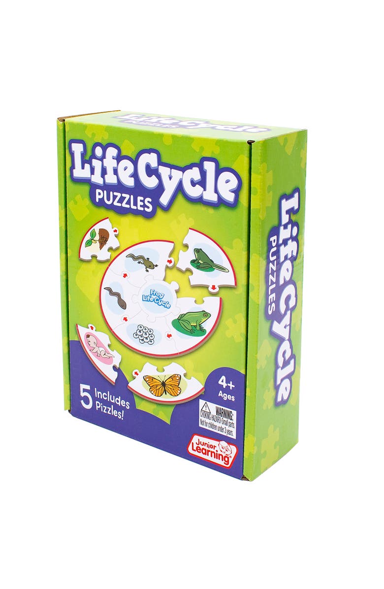 Puzzles Life Cycle Science Learning Puzzles, Alternate, color, Multicolored
