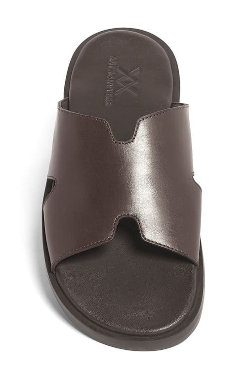 Anthony Veer Marrkesh Slide Sandal In Brown