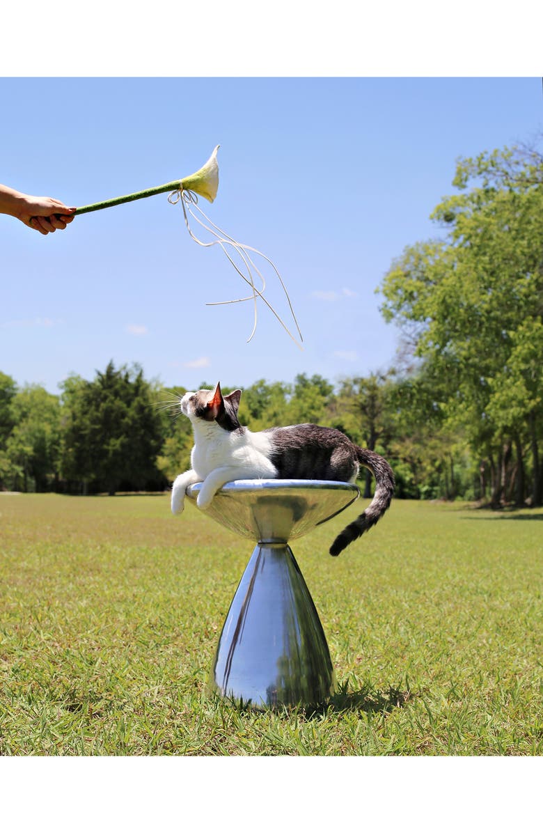 Catenary Flora Wand Cat Toy, Alternate, color,