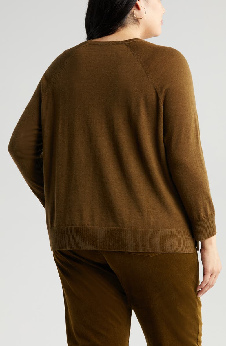 Eileen Fisher Raglan Sleeve Merino Wool Jersey Sweater, Alternate, color, 